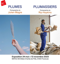 Exposition PLUMES, photographies de Julien Magre PLUMASSIERS, photographies de Rip Hopkins